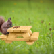 Die YouthCraftFactory baut Bänke für Eichhörnchen für den guten Zweck